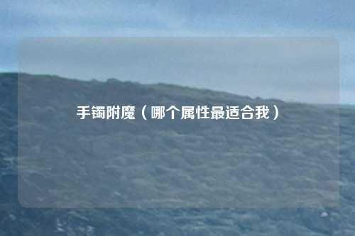 手镯附魔(哪个属性最适合我)