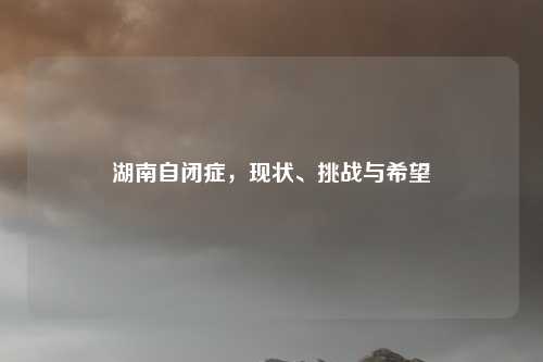 湖南自闭症,现状、挑战与希望