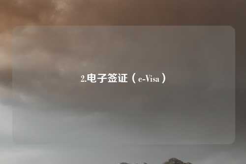 2.电子签证(e-Visa)