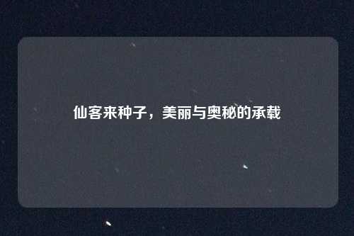 仙客来种子,美丽与奥秘的承载