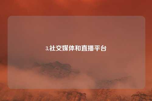 3.社交媒体和直播平台