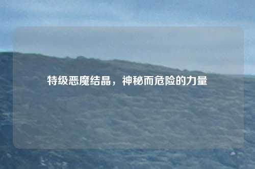特级恶魔结晶,神秘而危险的力量