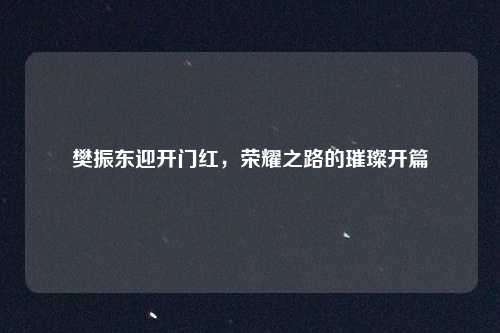 樊振东迎开门红,荣耀之路的璀璨开篇