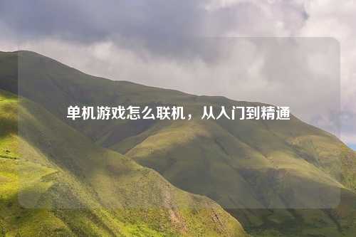 单机游戏怎么联机,从入门到精通