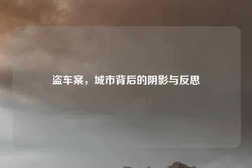 盗车案,城市背后的阴影与反思