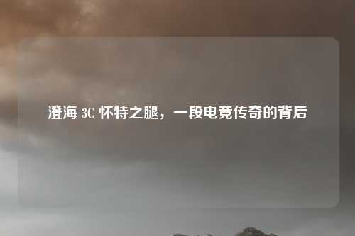 澄海 3C 怀特之腿，一段电竞传奇的背后