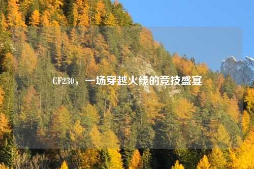 CF230,一场穿越火线的竞技盛宴