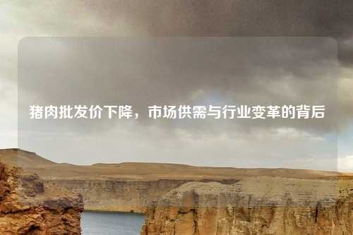 猪肉批发价下降,市场供需与行业变革的背后