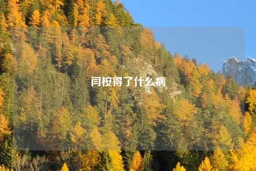 闫桉得了什么病