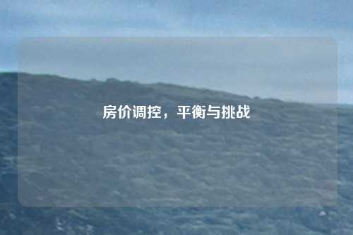 房价调控,平衡与挑战