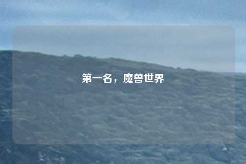 第一名,魔兽世界