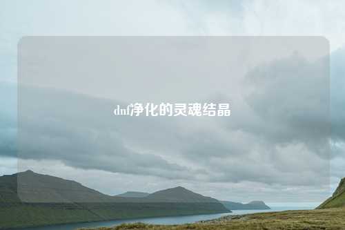 dnf净化的灵魂结晶