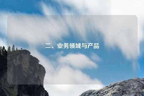 二、业务领域与产品