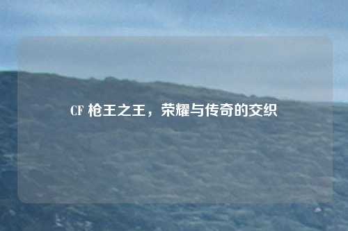 CF 枪王之王,荣耀与传奇的交织
