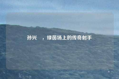 孙兴慜,绿茵场上的传奇射手