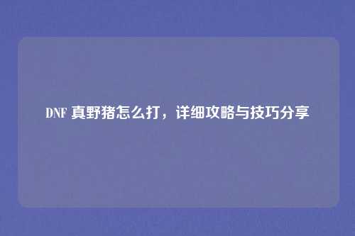 DNF 真野猪怎么打,详细攻略与技巧分享