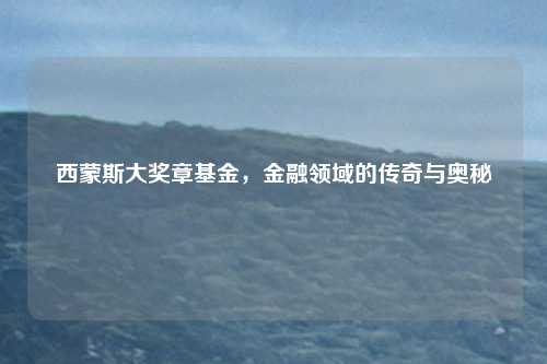 西蒙斯大奖章基金,金融领域的传奇与奥秘