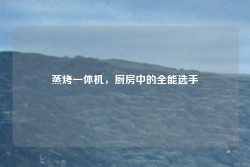 蒸烤一体机,厨房中的全能选手