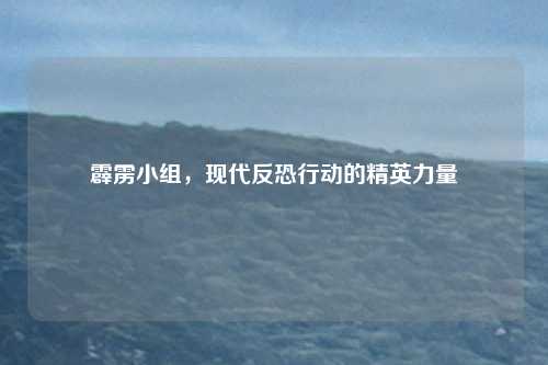 霹雳小组,现代反恐行动的精英力量