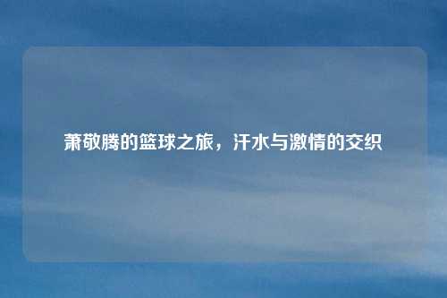 萧敬腾的篮球之旅,汗水与激情的交织