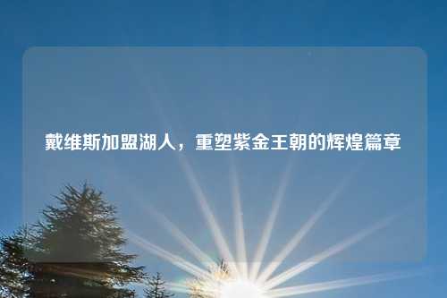 戴维斯加盟湖人,重塑紫金王朝的辉煌篇章