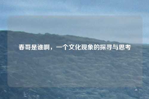 春哥是谁啊,一个文化现象的探寻与思考