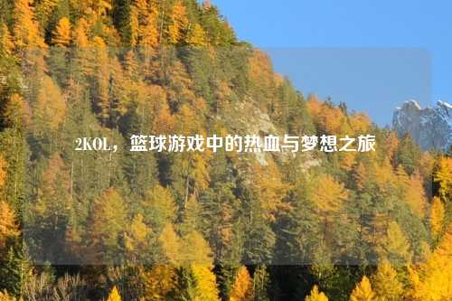 2KOL，篮球游戏中的热血与梦想之旅