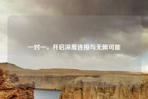 一对一,开启深度连接与无限可能