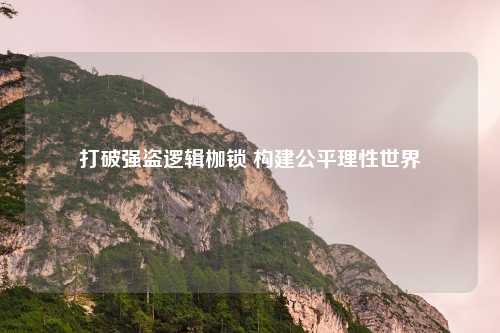 打破强盗逻辑枷锁 构建公平理性世界