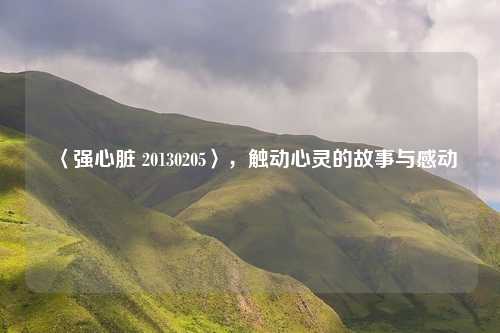 〈强心脏 20130205〉，触动心灵的故事与感动