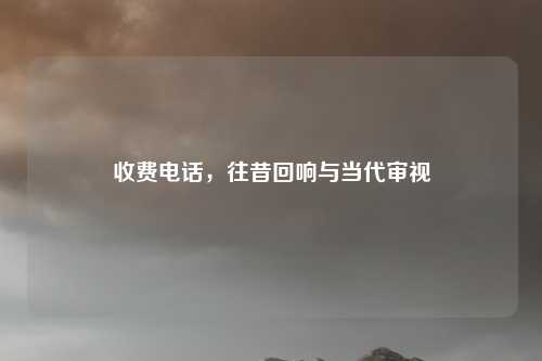 收费电话,往昔回响与当代审视