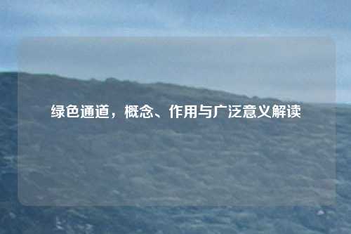 绿色通道，概念、作用与广泛意义解读