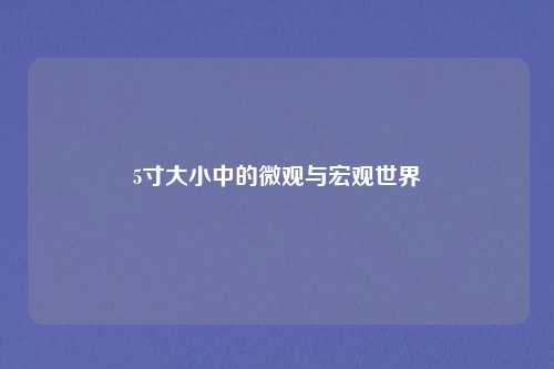 5寸大小中的微观与宏观世界