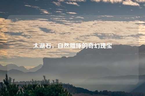 太湖石，自然雕琢的奇幻瑰宝