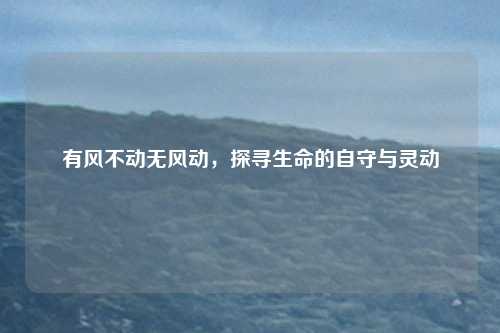 有风不动无风动,探寻生命的自守与灵动