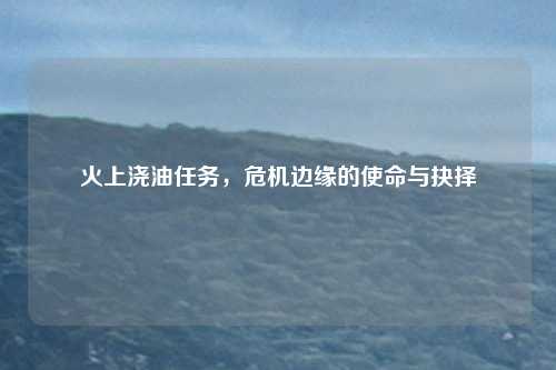 火上浇油任务,危机边缘的使命与抉择