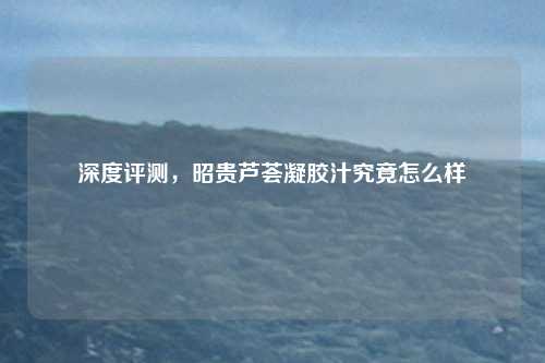 深度评测,昭贵芦荟凝胶汁究竟怎么样