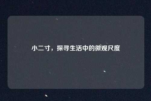 小二寸,探寻生活中的微观尺度