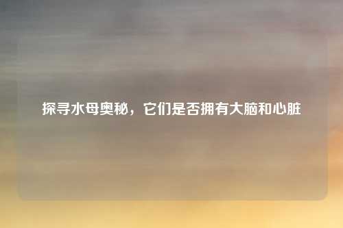 探寻水母奥秘，它们是否拥有大脑和心脏