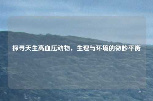 探寻天生高血压动物，生理与环境的微妙平衡