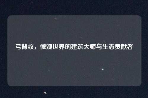 弓背蚁,微观世界的建筑大师与生态贡献者