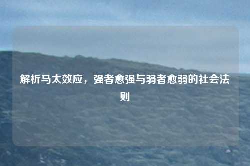 解析马太效应,强者愈强与弱者愈弱的社会法则