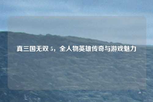 真三国无双 5,全人物英雄传奇与游戏魅力