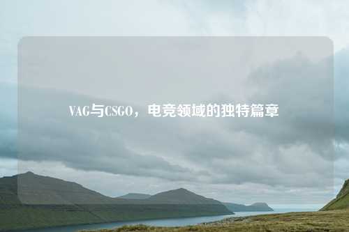 VAG与CSGO，电竞领域的独特篇章