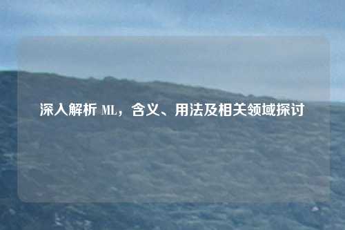 深入解析 ML，含义、用法及相关领域探讨
