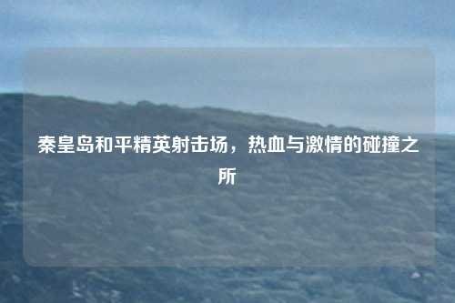秦皇岛和平精英射击场,热血与激情的碰撞之所
