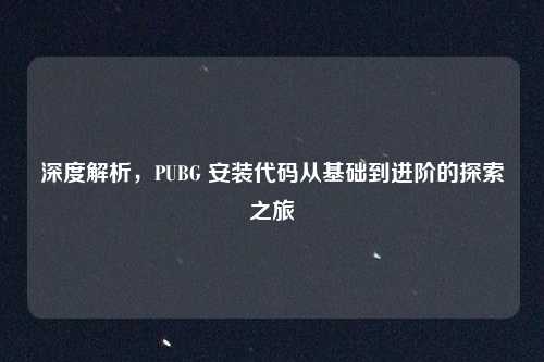深度解析,PUBG 安装代码从基础到进阶的探索之旅