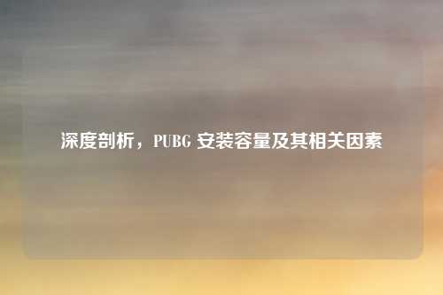 深度剖析,PUBG 安装容量及其相关因素