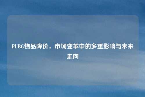 PUBG物品降价，市场变革中的多重影响与未来走向