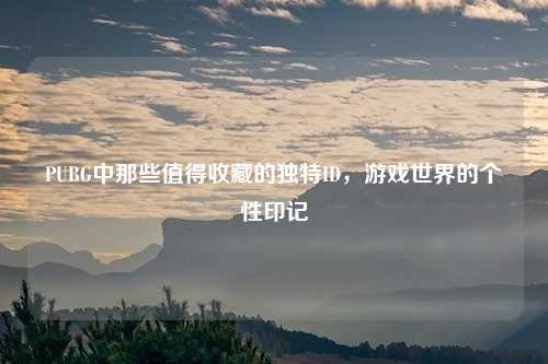 PUBG中那些值得收藏的独特ID，游戏世界的个性印记